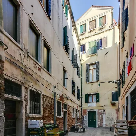 Ramo Venier By Halldis Venecia